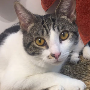 Meet your Posher, Daniela